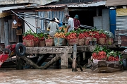 delta mekongu